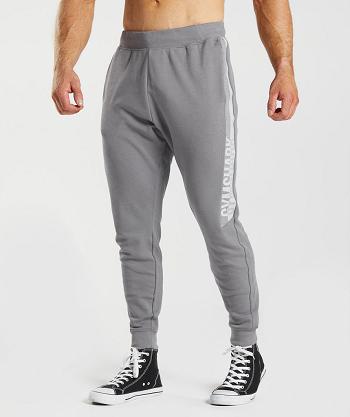 Gymshark Bold React Mjukisbyxor Herr Grå | SE 3370RVD